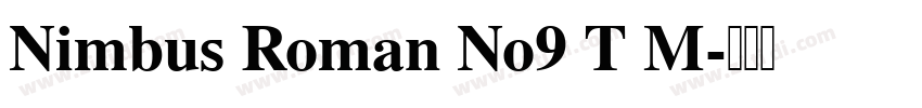 Nimbus Roman No9 T M字体转换